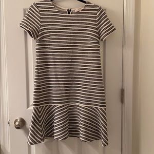 The loft: size 2 (small) peplum knitted dress